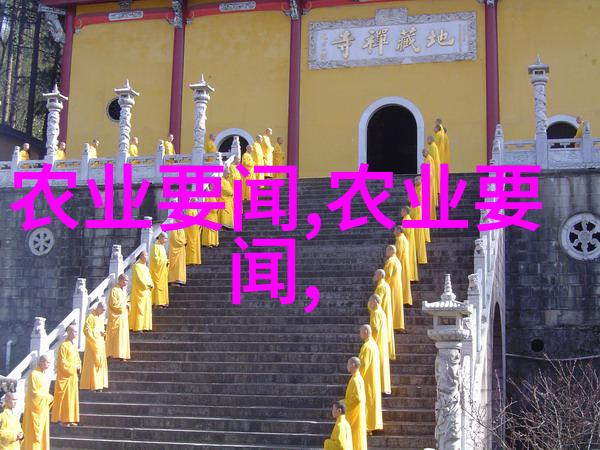 如何将传统农业实践与现代水土保持技术相结合有效提升生态环境质量
