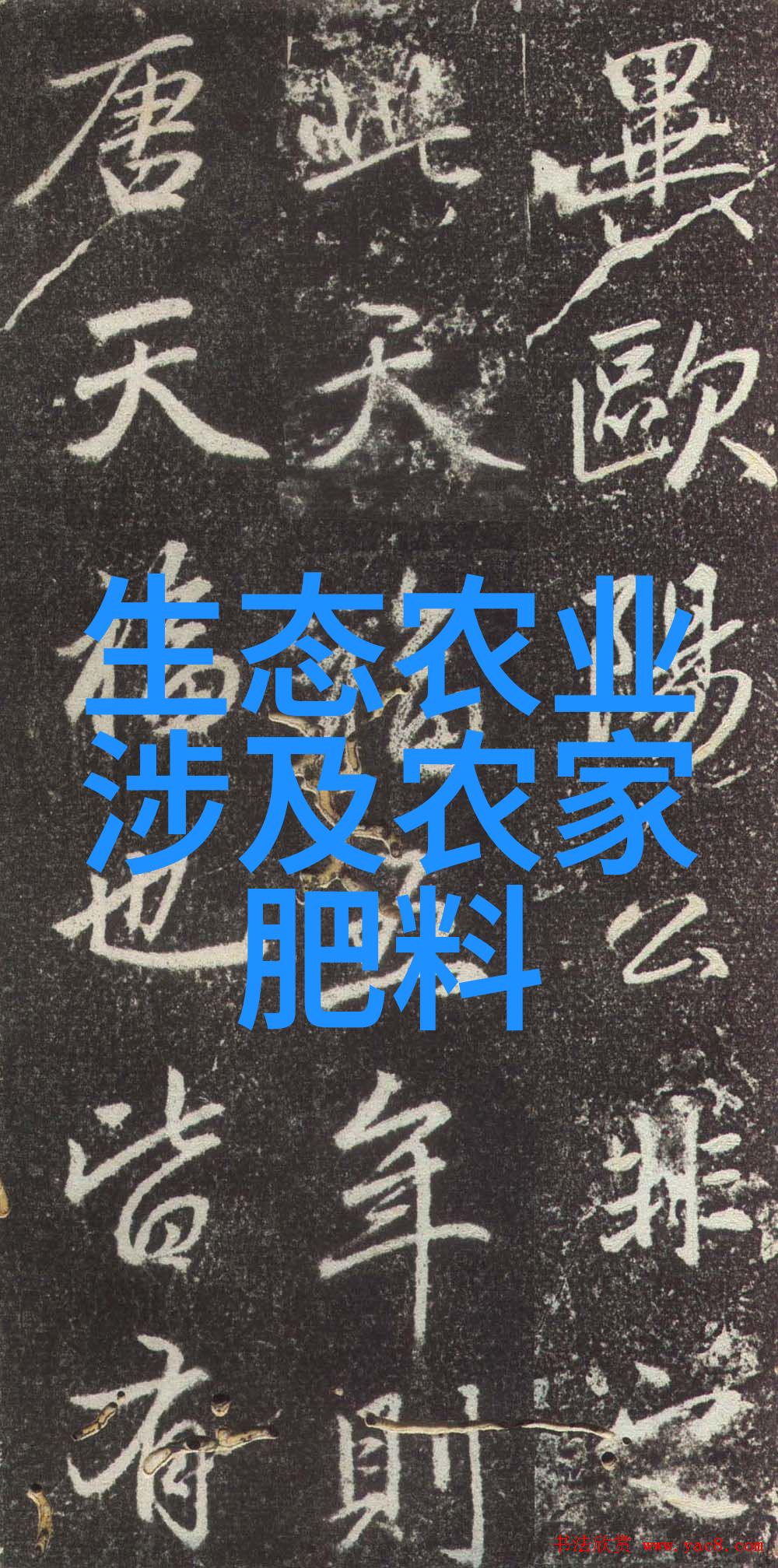 花开树茂庭院里的绿意与笑颜