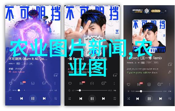 8月到9月蔬果盛宴精选种植指南