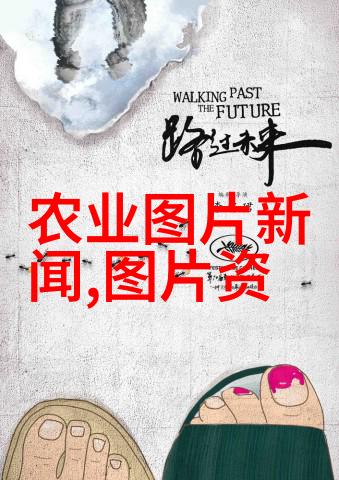 开发商为留下400多年香樟花上百万元是否也会将1000种多肉植物图鉴珍藏于心