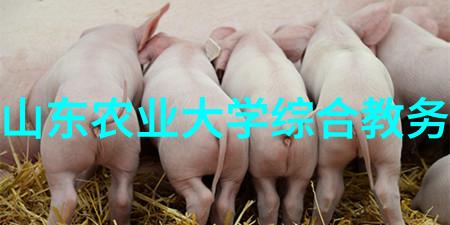 种子里的秘密揭秘那些可以通过种子成长的水果