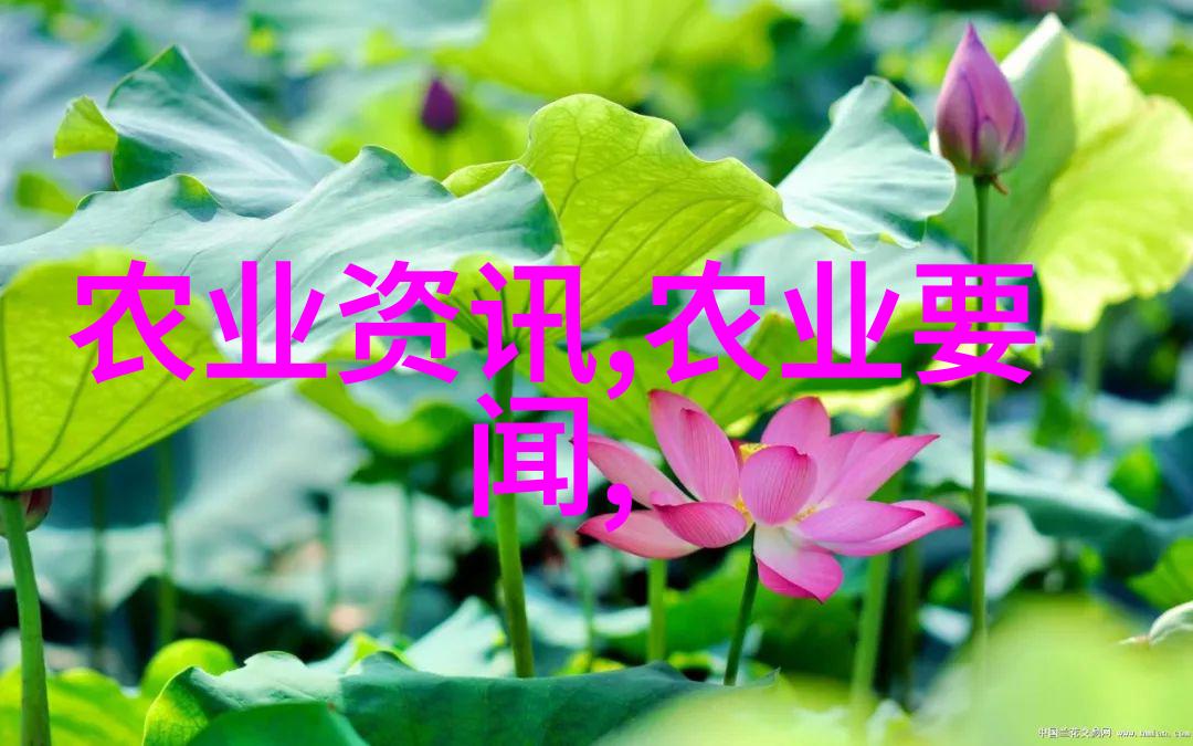 在室内养育郁金香时我应该采取哪些特别的照顾方式来确保它能够正常生长和繁殖