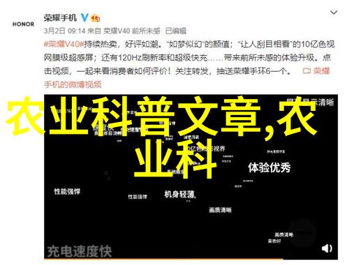 懒人果树一年四季的丰收美景