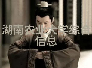 种子满载的水果盛宴探索带种子的水果图片世界