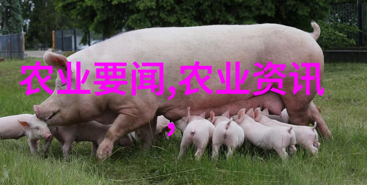混凝土搅拌运输车的日常从混到送坚固每一程