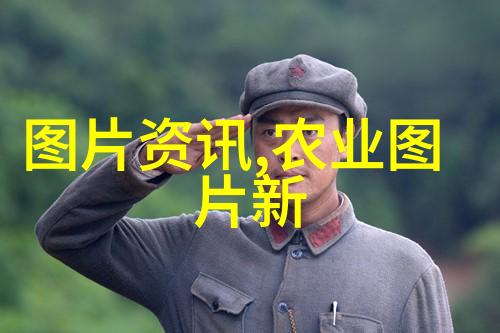 绿意盎然的角落阳台上的生机勃勃