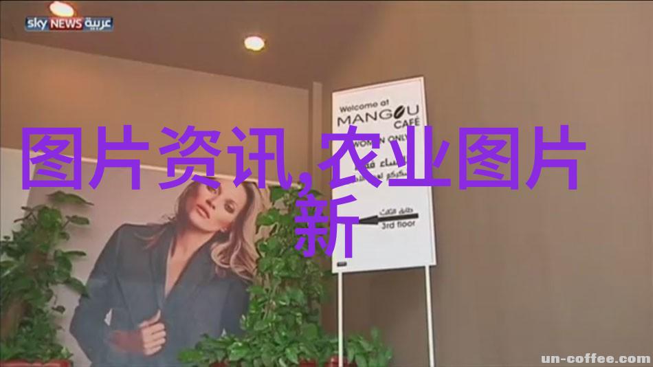 客厅美化小技巧如何挑选适合家庭的室内花卉