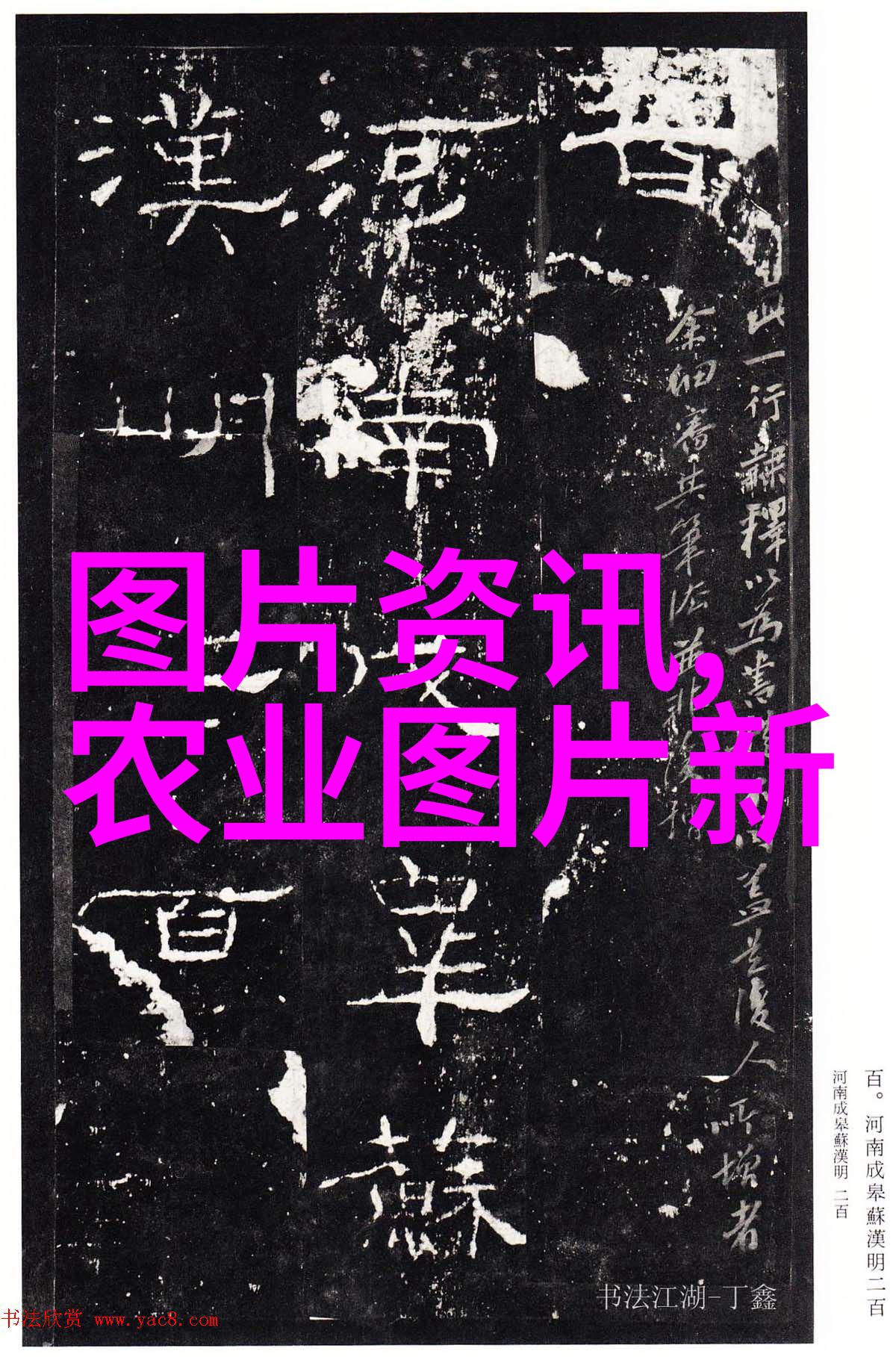 秘密果园揭开赚钱快的神秘种子
