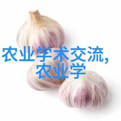 西洋菜-品味西方探索西洋菜的文化与烹饪艺术