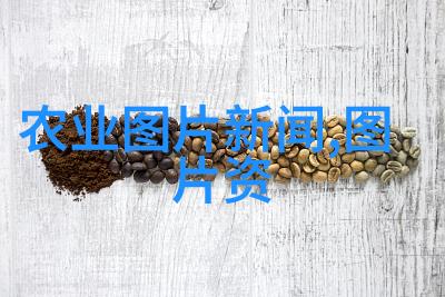 快速致富的药材种植之路
