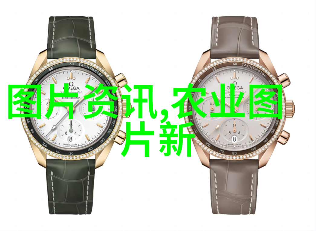 双汇种母猪选留分哪些反复阶段
