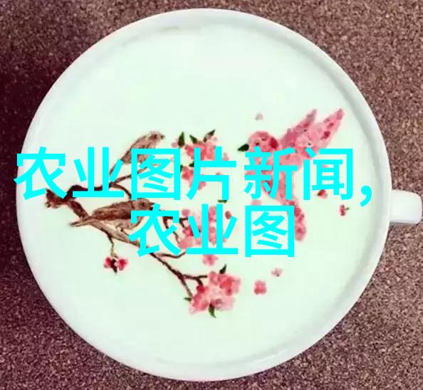 山东寿光无土栽培蔬菜技术革新之路