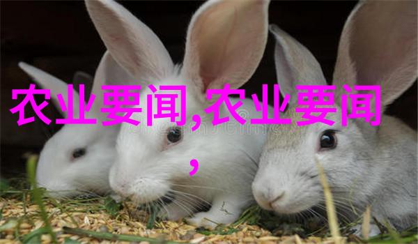 云南花海探秘十大著名花卉基地