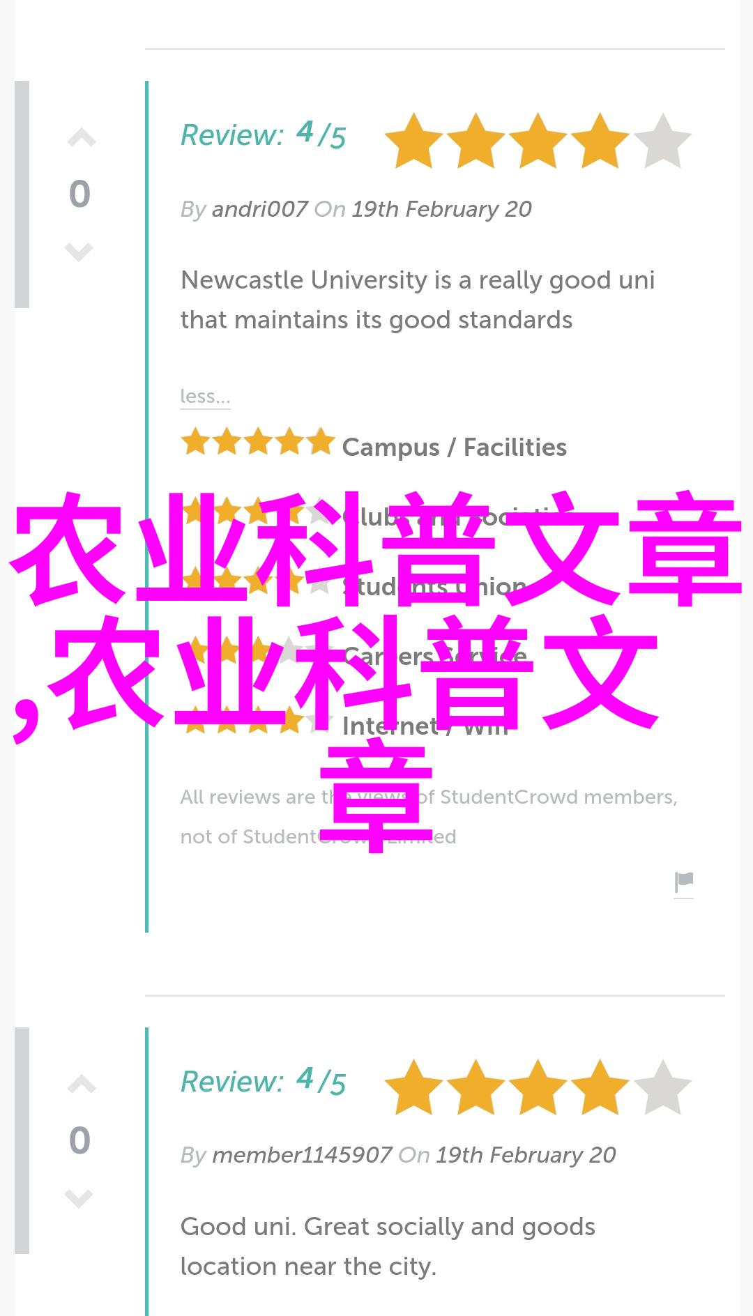 西红柿