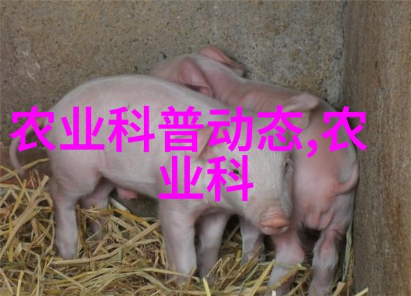 农业种植专家咨询我是你最靠谱的农田朋友