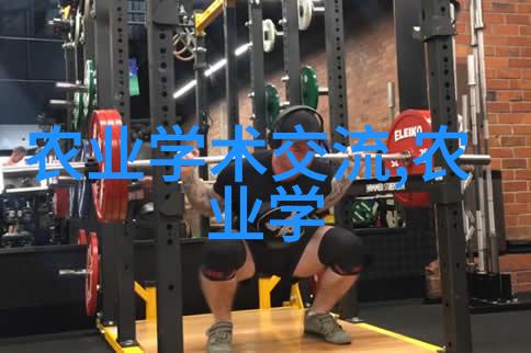 18公分五角枫价格秋季园艺用品的实惠选择