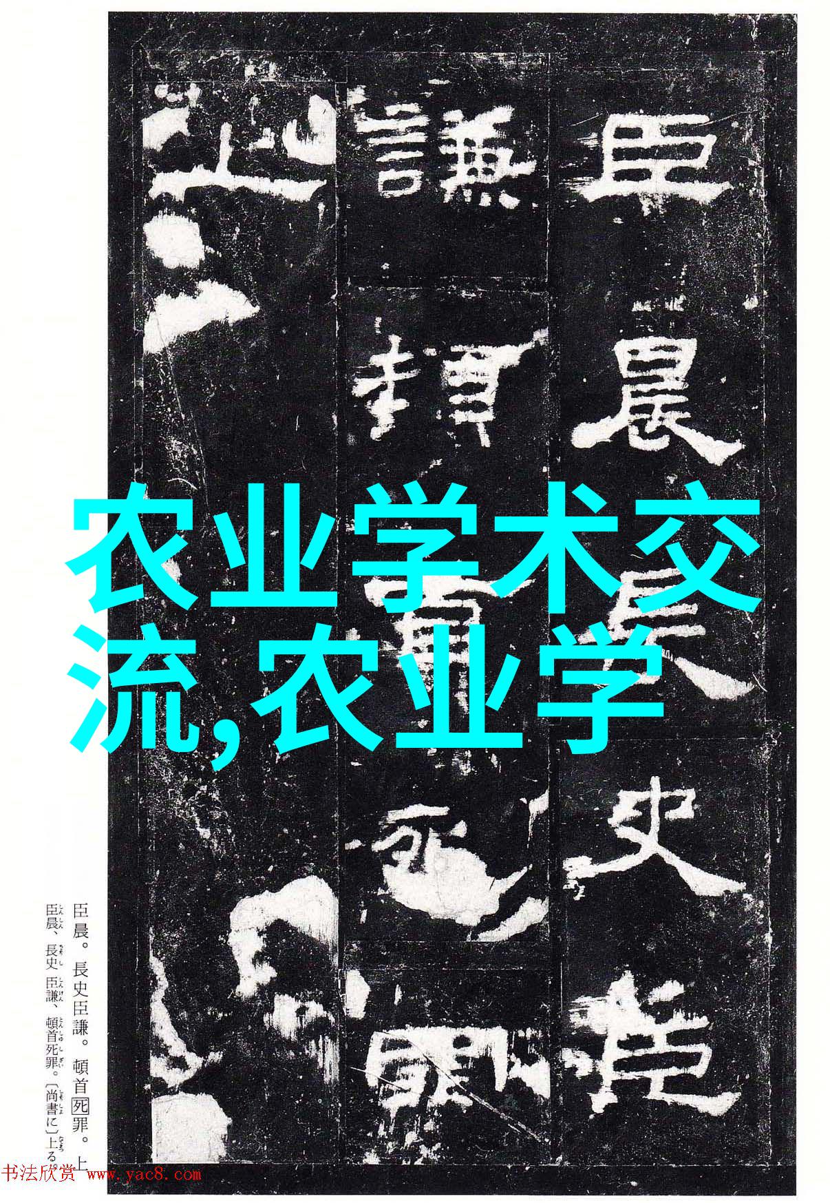 家庭养殖创业指南选择适合的项目让梦想绽放