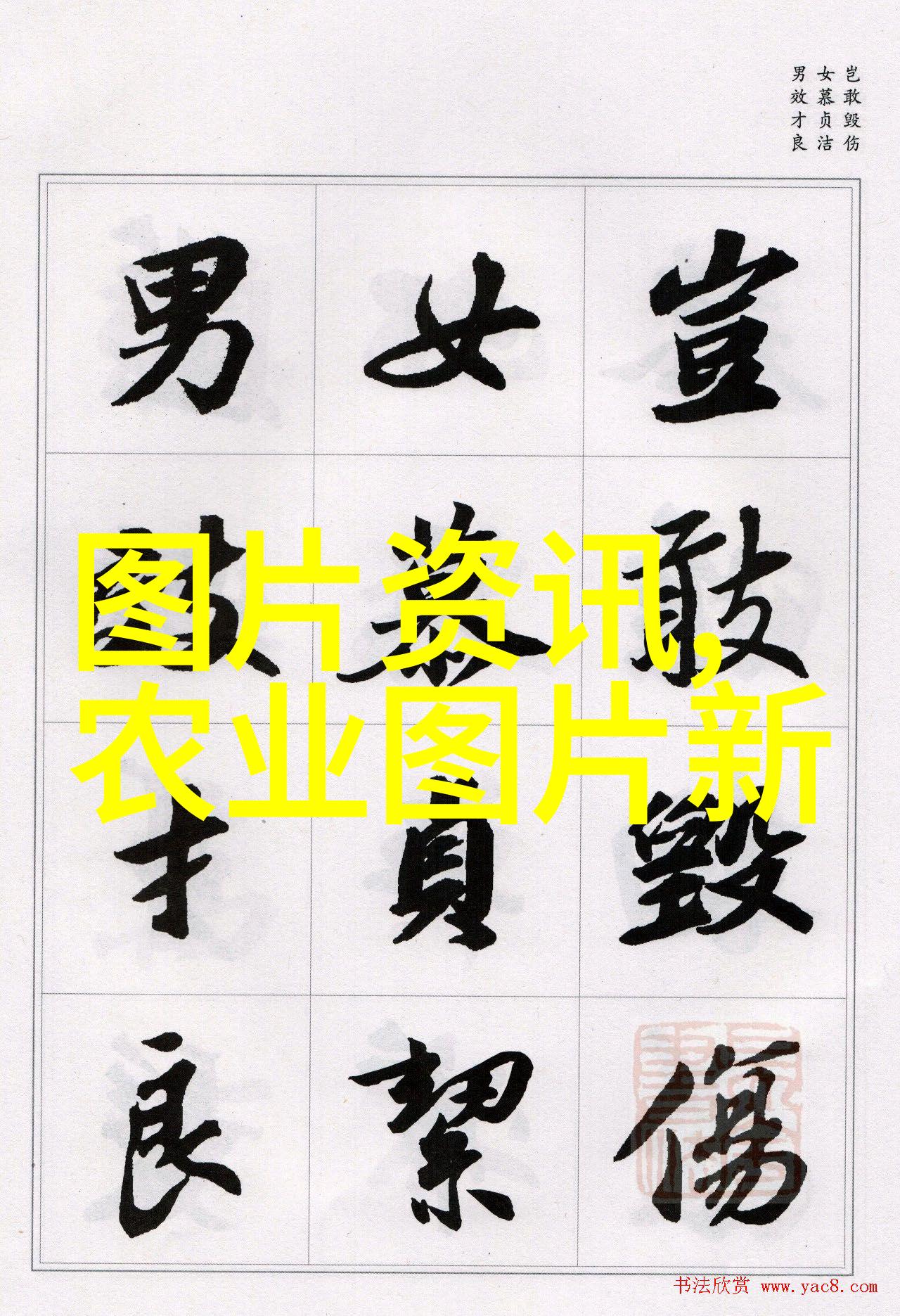 五月份草莓育苗管理探索100种不常见水果的珍品藏品
