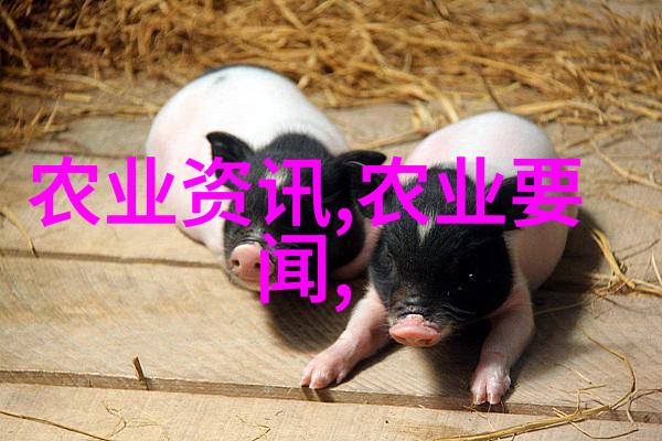 寻找那份特别的地方为何这些十个植物成为了最佳选择