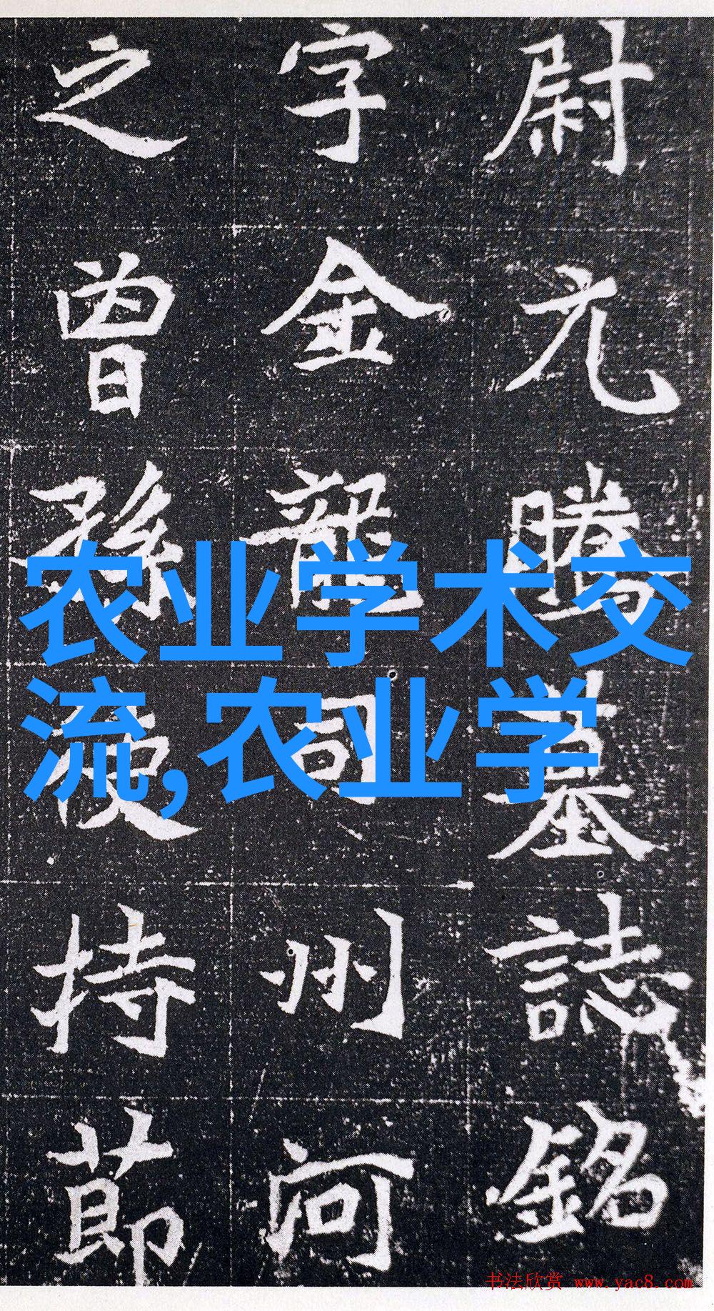 家园里的水果宝库适合家庭种植的多样水果