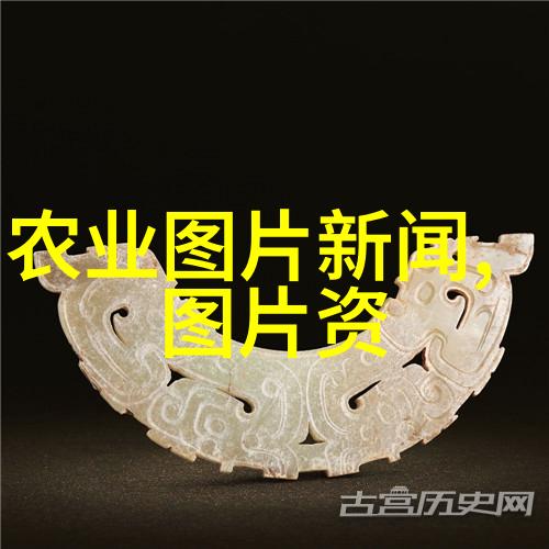 农机市场现状-推动农业现代化深度解读当前农机装备市场的发展趋势与机遇