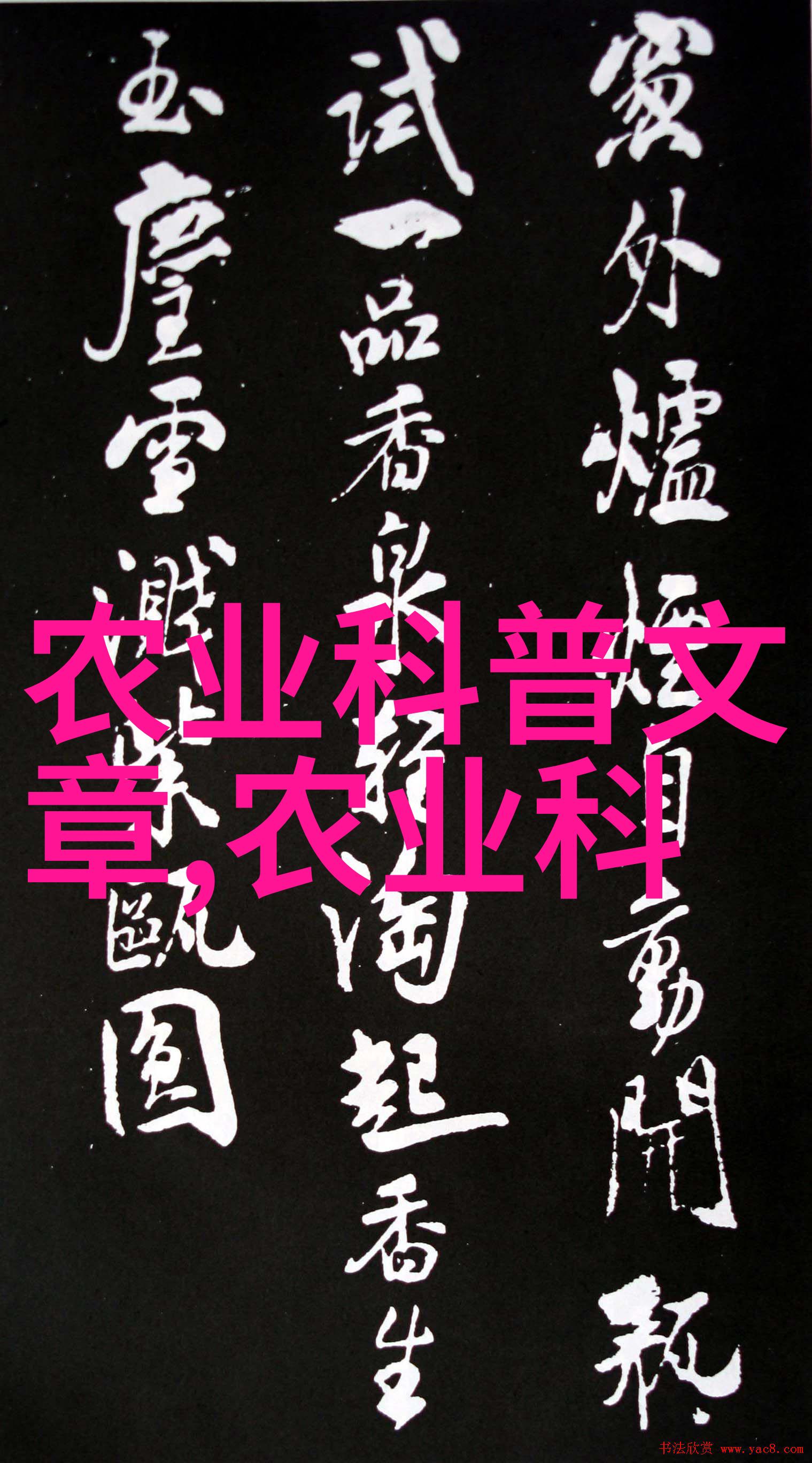 绿意盎然的实验室100种水果种子的微型冒险