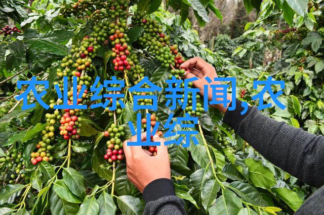 揭秘鲜花批发天堂哪里最便宜