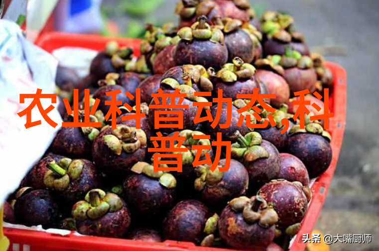 花园设计灵感运用艺苔巧妙布局提升庭院美观度