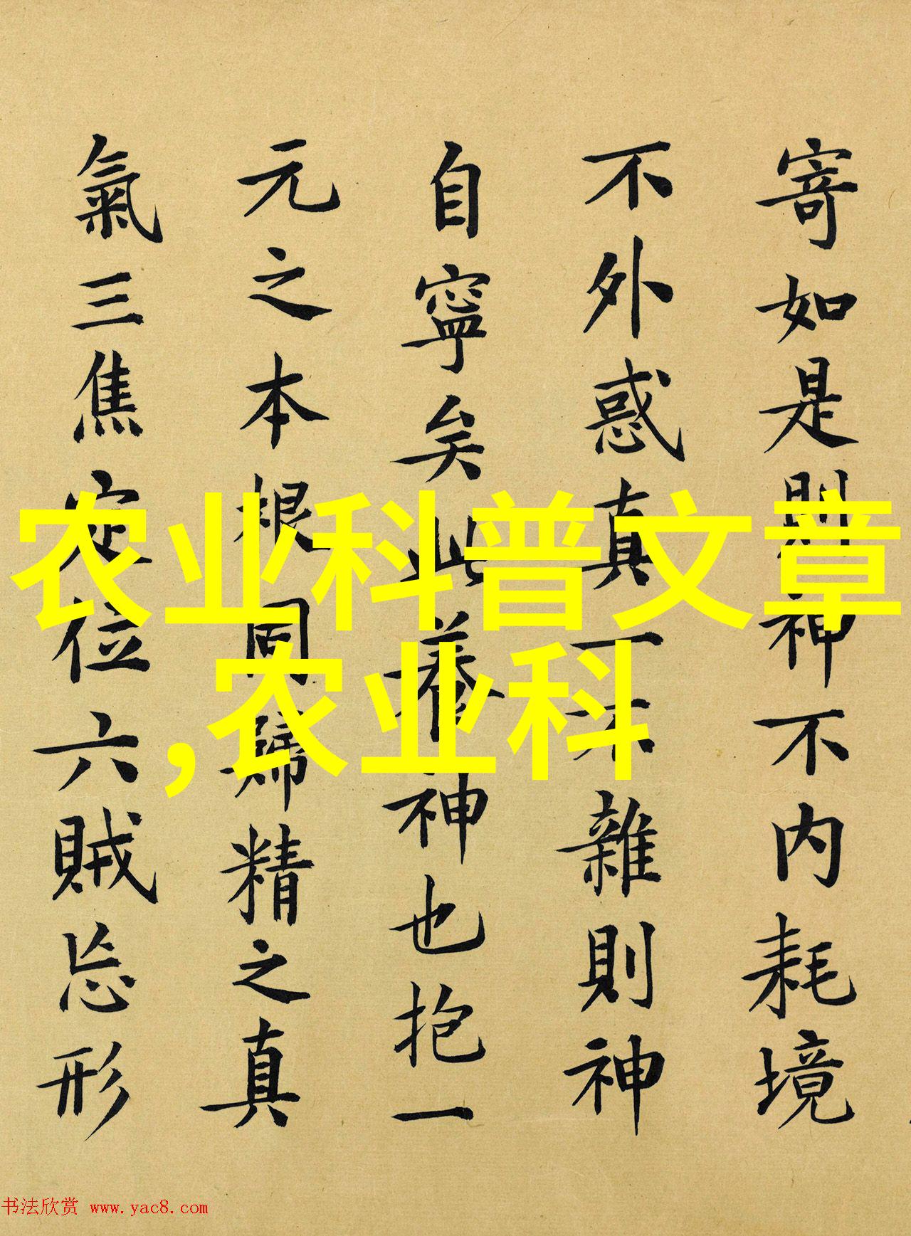 茶叶的健康之道品味与功效