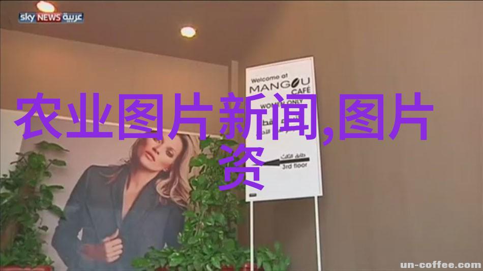 主题-夏季蔬菜种植指南8月到9月的最佳选择