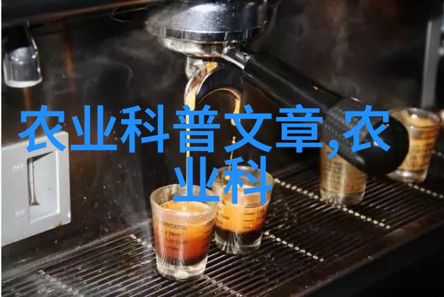 免费体验限时十分钟探秘小视频内容制作与受众互动
