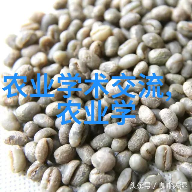 水果种子有哪些图片-探索水果世界各种美味种子的精彩图库