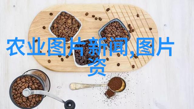 菜心的选择仿佛在询问室内种植的智慧怎样才能选出最合适的品种呢