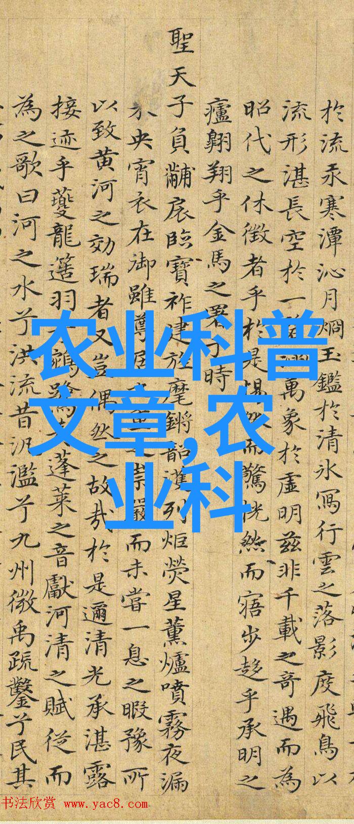 甘肃农民发明洋芋点播机