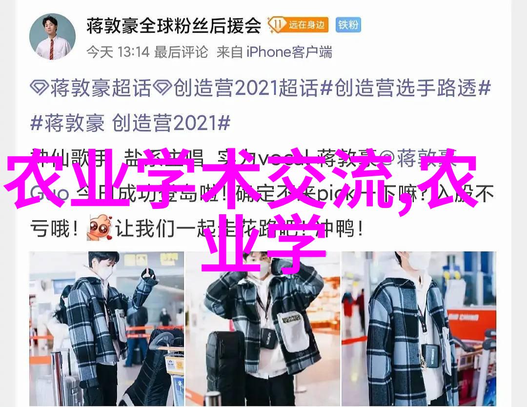 欧洲菊苣的风味与营养之美