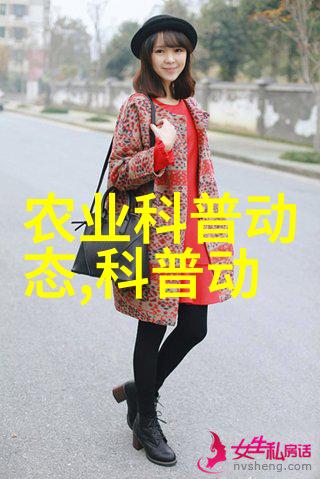 四季变换下的家居布置艺术探究