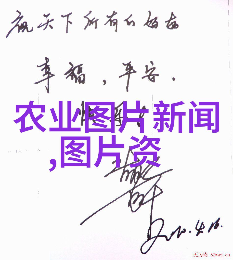 中年力量50岁以上人群的就业新机遇