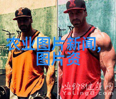 草地贪夜蛾缅甸的阴影何时降临