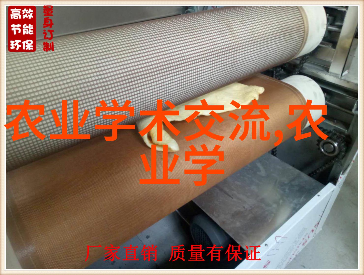 花卉市场批发-春天的颜色探秘花卉市场的魅力与挑战