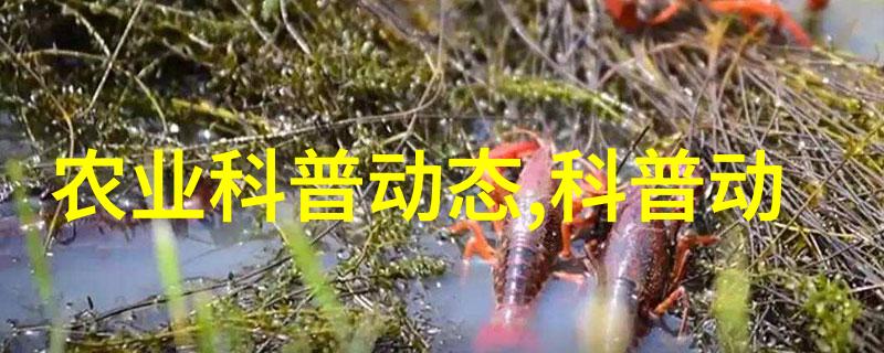 如何选择一只超凡脱俗的绒山羊种公羊以便与全国各大饲料生产厂家建立联系获取最精准的养殖指导和优质饲料