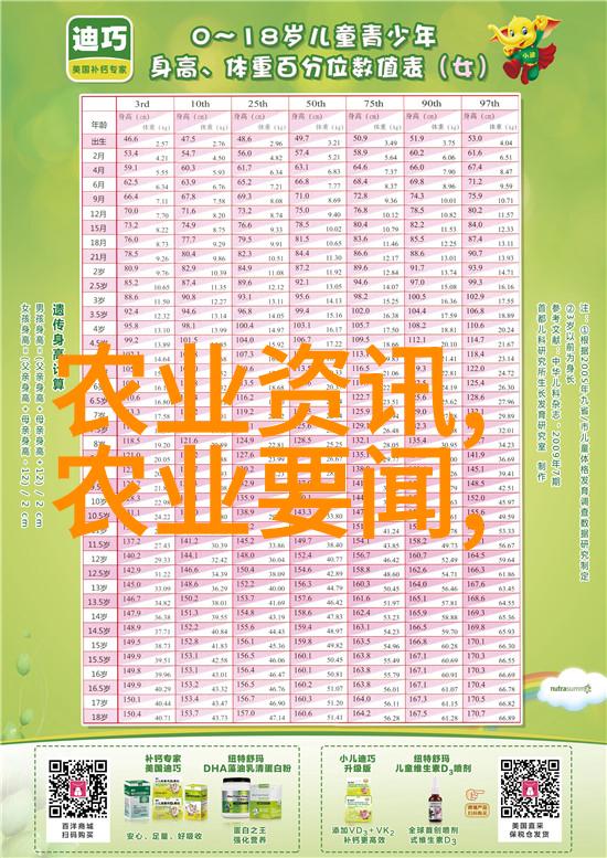 美丽盆栽花卉养护精致园艺艺术