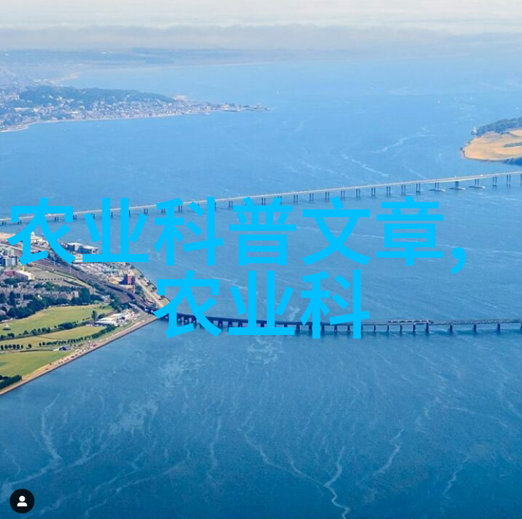 中国水果网芦笋苗的绿茵之旅