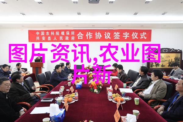 三次会议在京开幕 习等在主席台就座