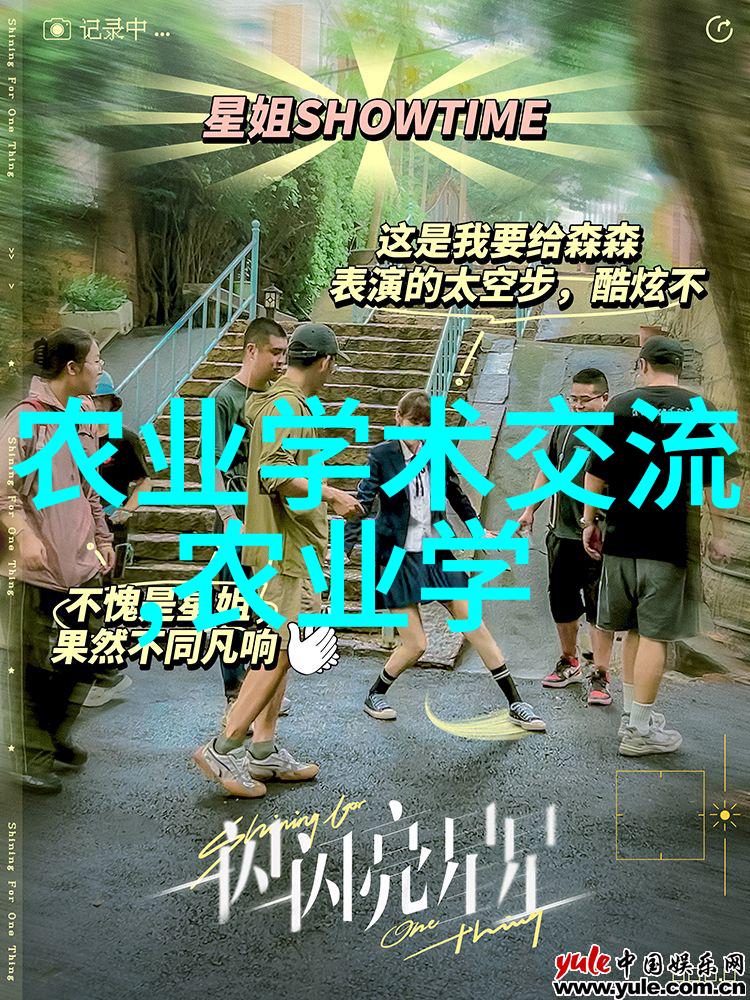 从土壤到繁荣深入解析高效的花卉种植技术