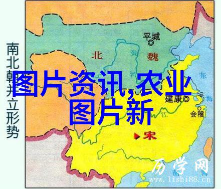 国家对药材种植的补贴政策解析每亩多少钱
