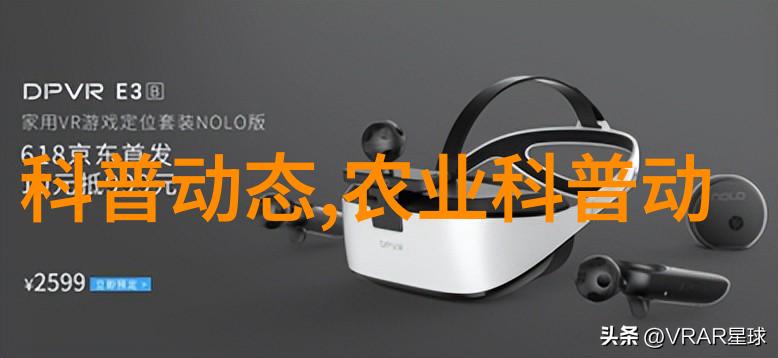 蚕豆的秘密从田间到餐桌的故事
