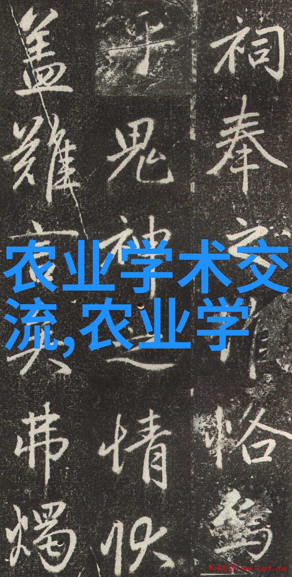 水果蔬菜种子图片我来给你展示一下超美的种子图片吧