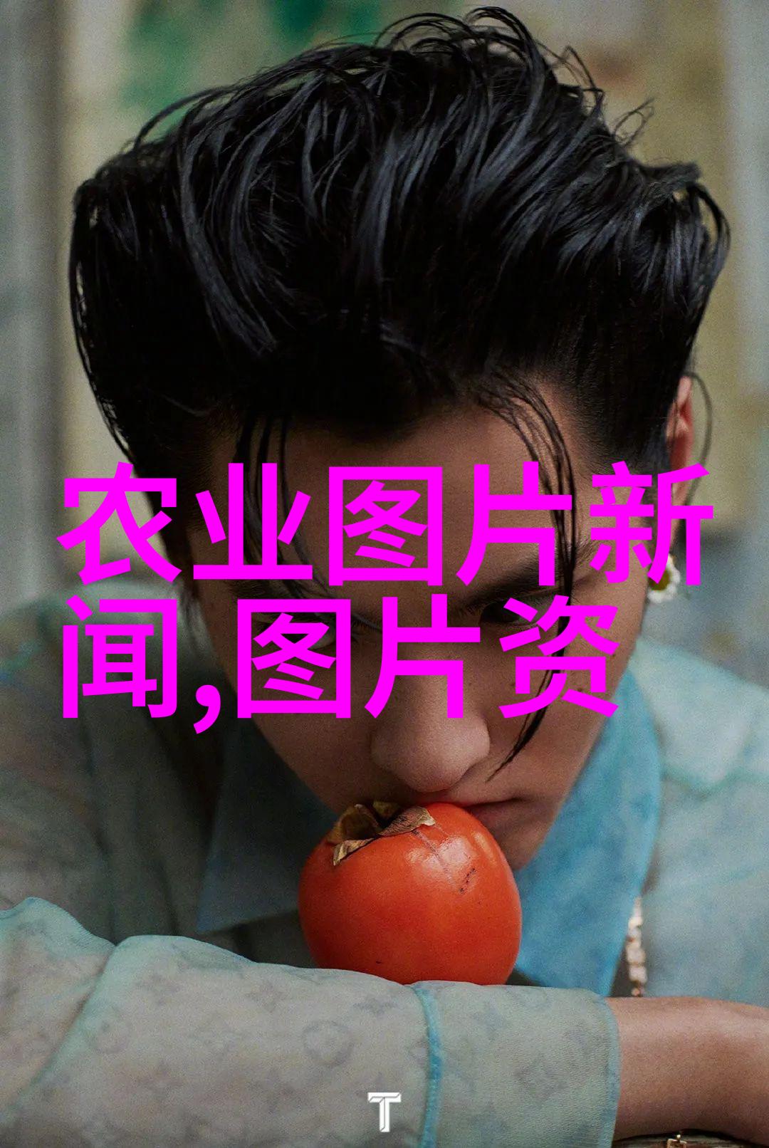 春不老的生菜日光温室育苗技术又可行了吗