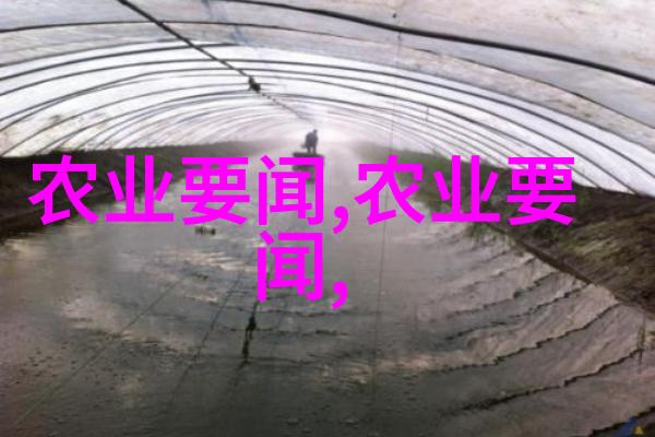 喝下一壶健康之水了解那些使得茶叶成为良药的特性