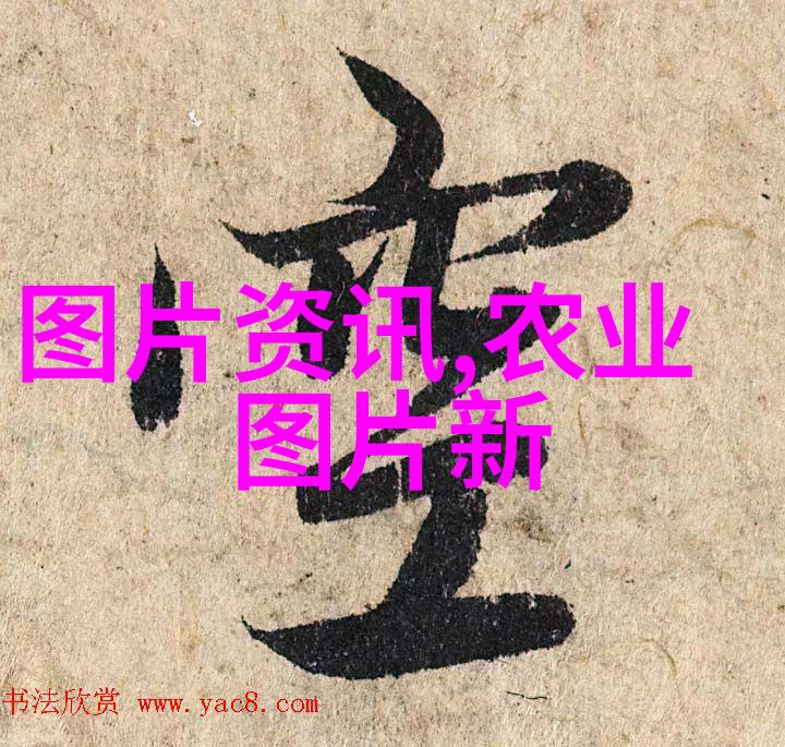 茶香悠扬探秘喝茶养生的艺术